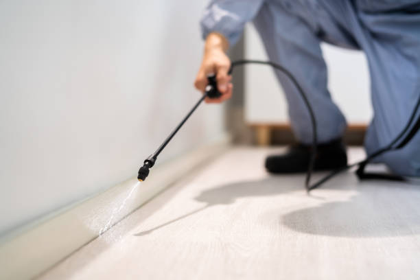 Licensed Fumigation Services service in Reagan County County, TX - Nex Pest Control